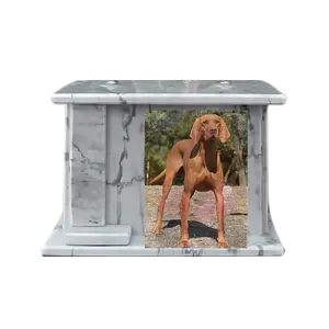 Cremacion de mascotas en la molina (12)